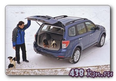 �����  Subaru   Forester